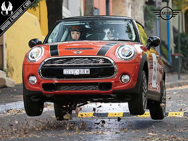 MINI (汽車)品牌形象展示
