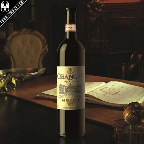 張?jiān)?CHANGYU品牌形象展示