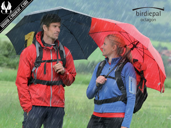 BIRDIEPAL (風(fēng)暴)品牌形象展示