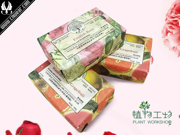 植物工坊品牌形象展示