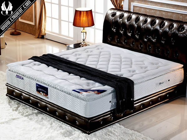 GOLDWAYE 歌維床墊品牌形象展示