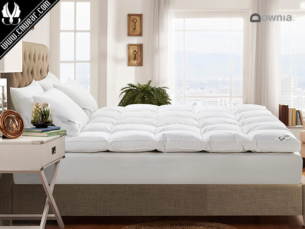 DOWNIA 杜維雅品牌形象展示