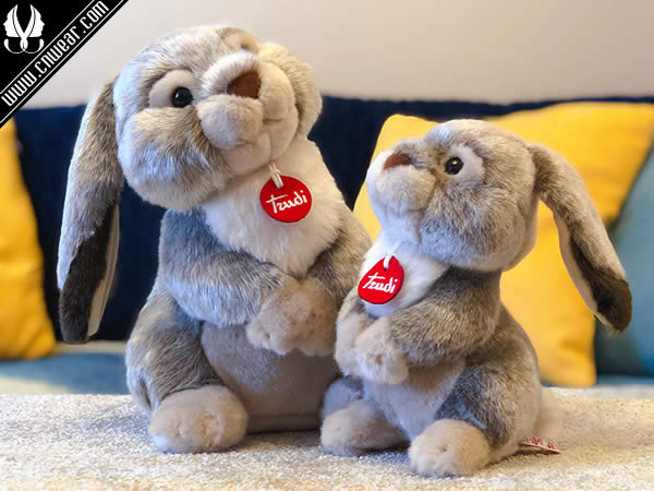 TRUDI (特魯?shù)贤婢?品牌形象展示