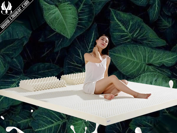 LATEX SYSTEMS (雷泰克系統)品牌形象展示